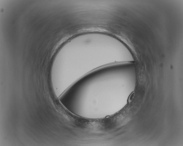 X0000065980111200603030940