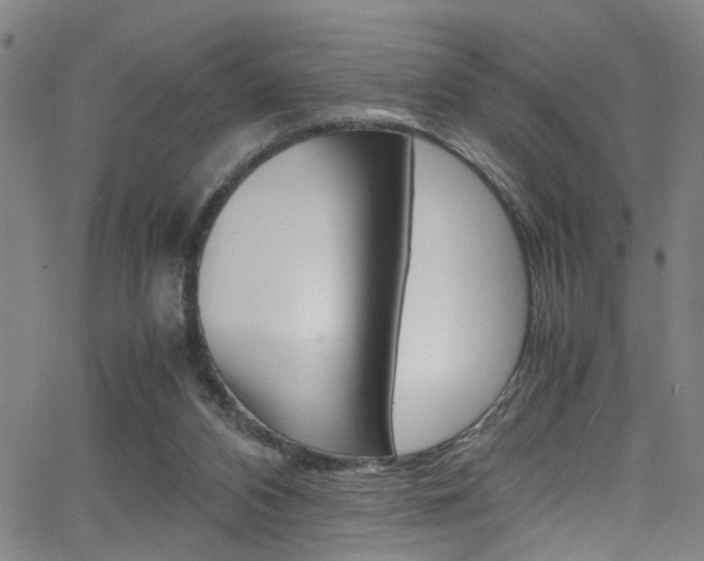 X0000065980112200603030940