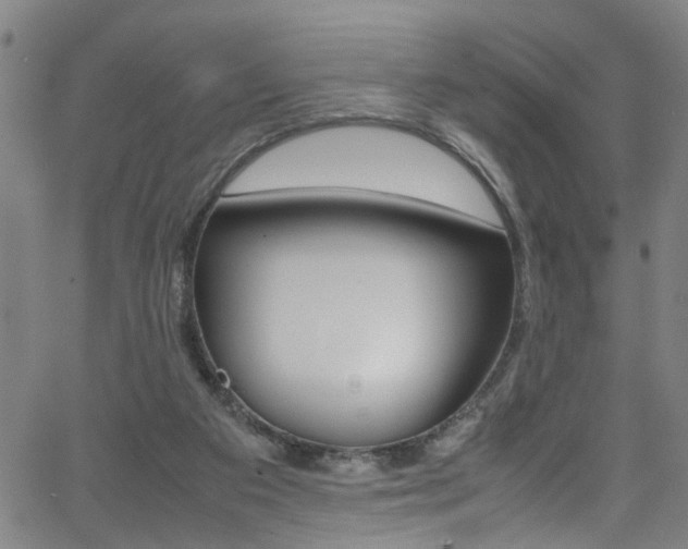 X0000065980113200603030940