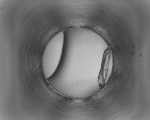 X0000065980114200603030940