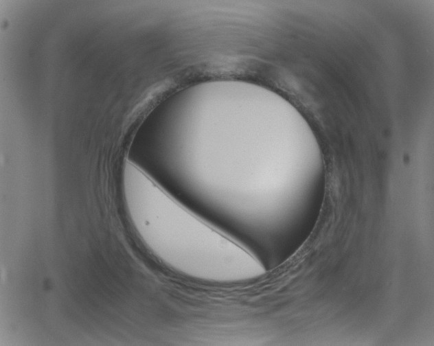 X0000065980115200603030940