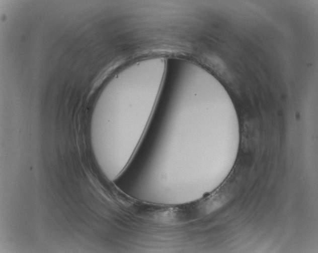 X0000065980116200603030940