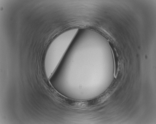 X0000065980117200603030940