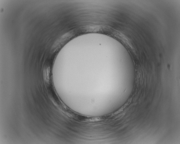 X0000065980118200603030940