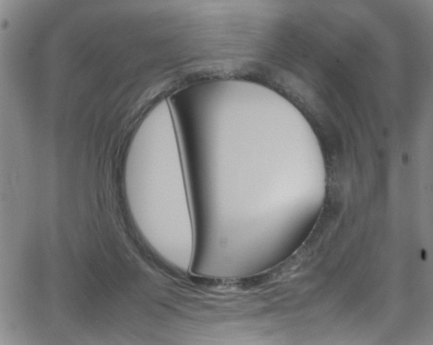 X0000065980119200603030940