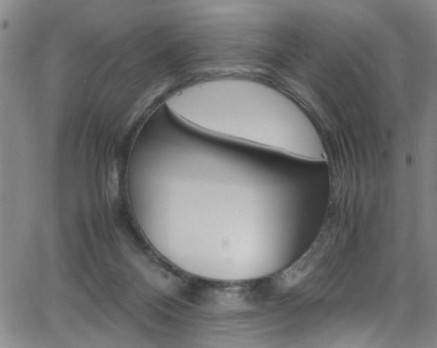 X0000065980120200603030940