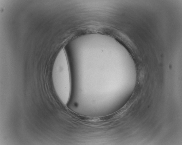 X0000065980121200603030940