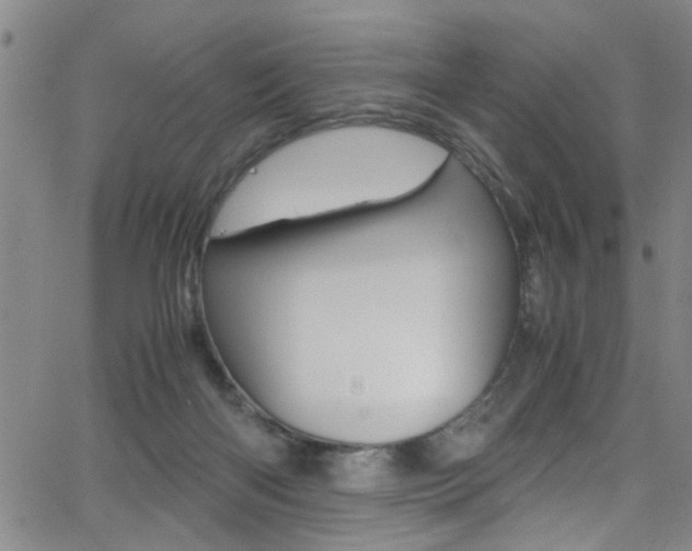 X0000065980122200603030940