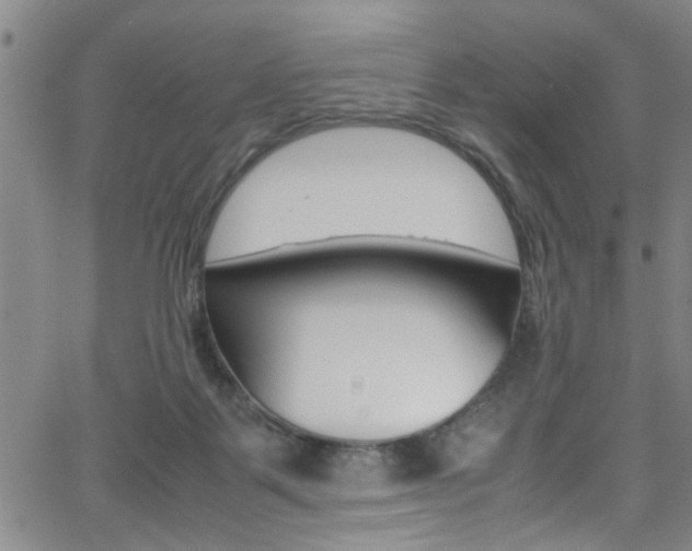 X0000065980123200603030940