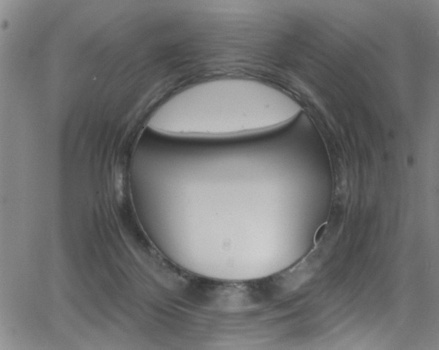 X0000065980124200603030940