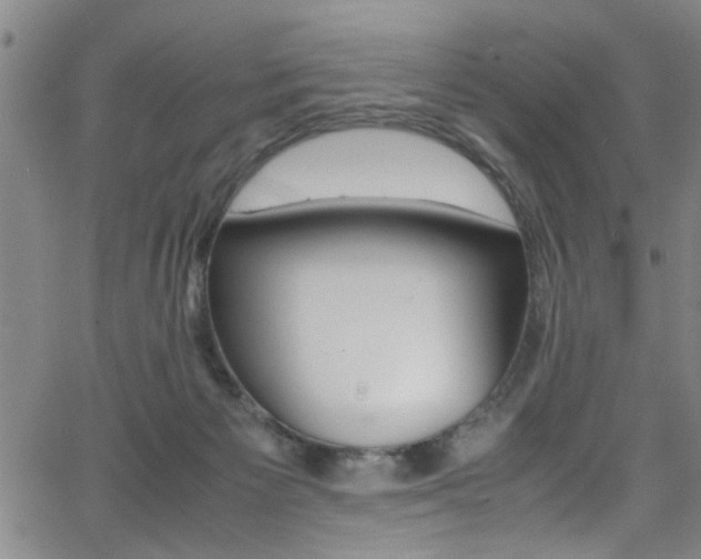 X0000065980125200603030940