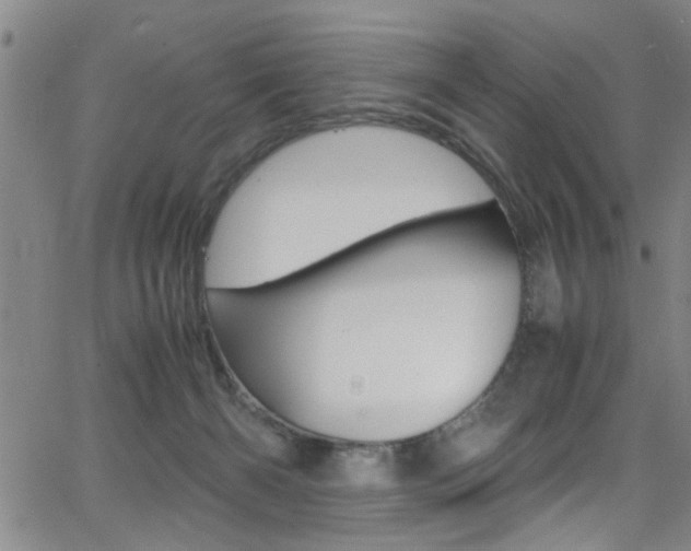 X0000065980126200603030940