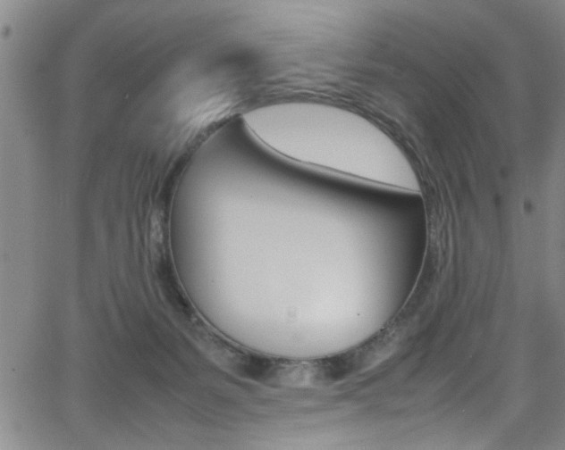 X0000065980127200603030940