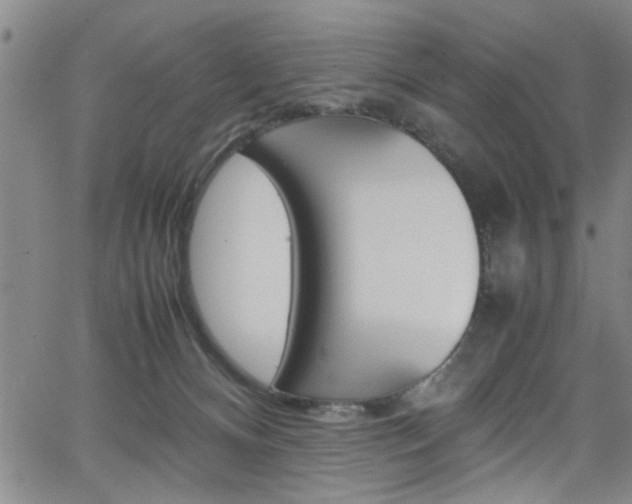 X0000065980128200603030940