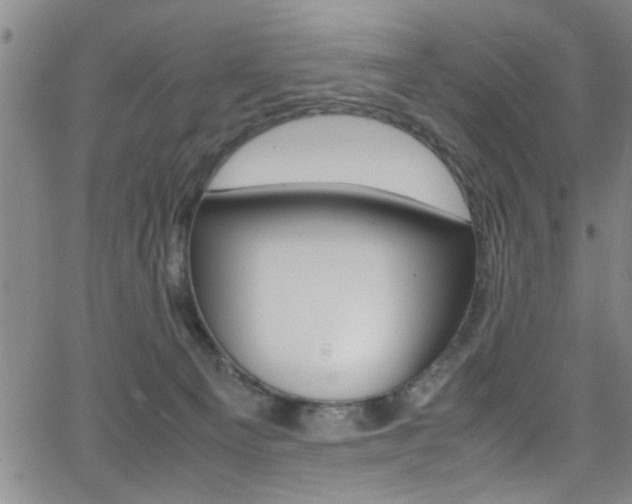 X0000065980129200603030940