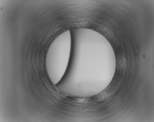 X0000065980130200603030940