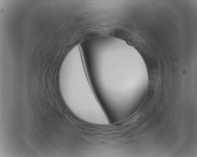 X0000065980131200603030940