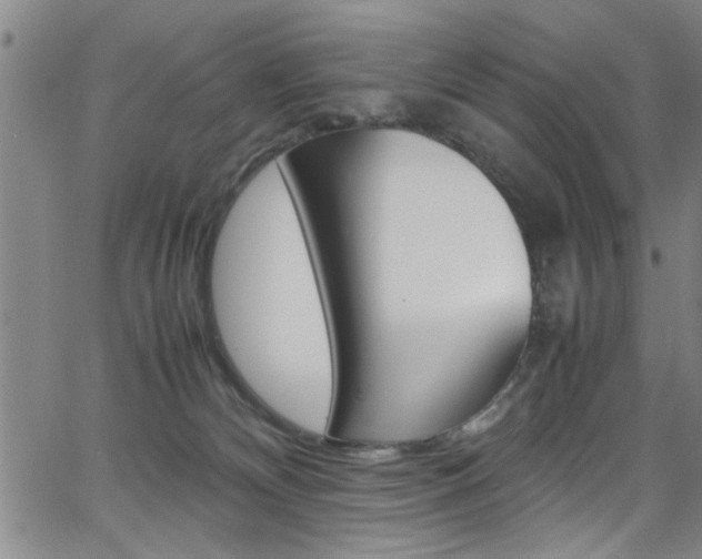 X0000065980132200603030939