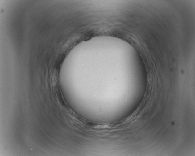 X0000065980133200603030939