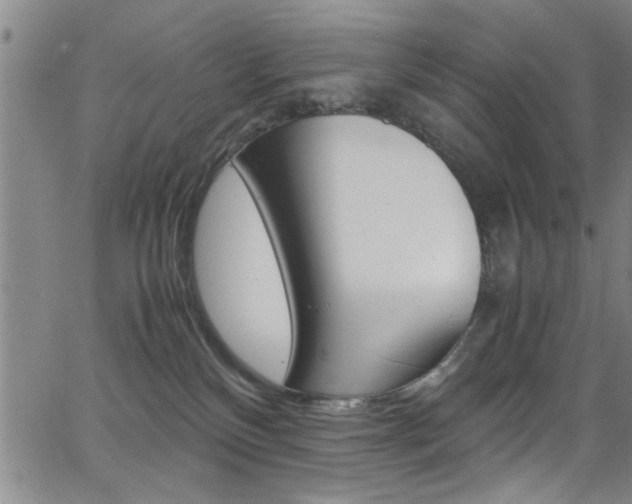 X0000065980136200603030939