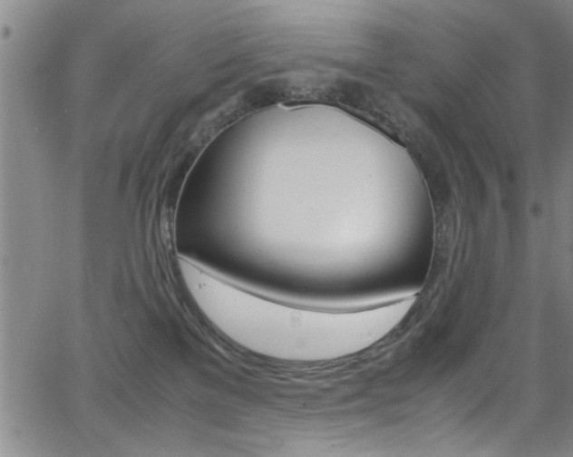 X0000065980137200603030939