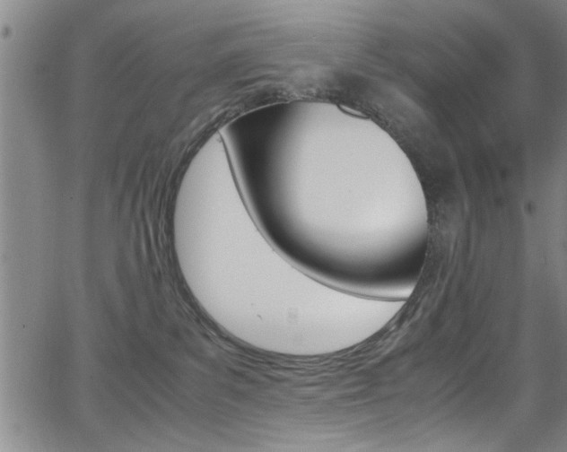 X0000065980139200603030939