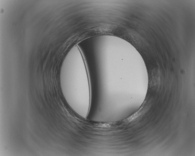 X0000065980140200603030939