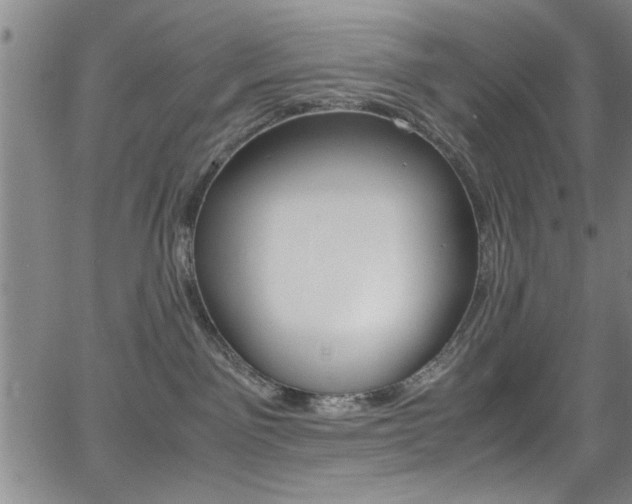 X0000065980141200603030939