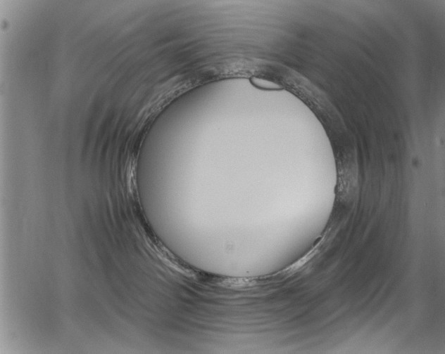 X0000065980142200603030939