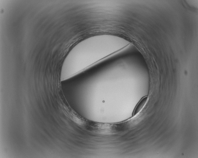 X0000065980144200603030939