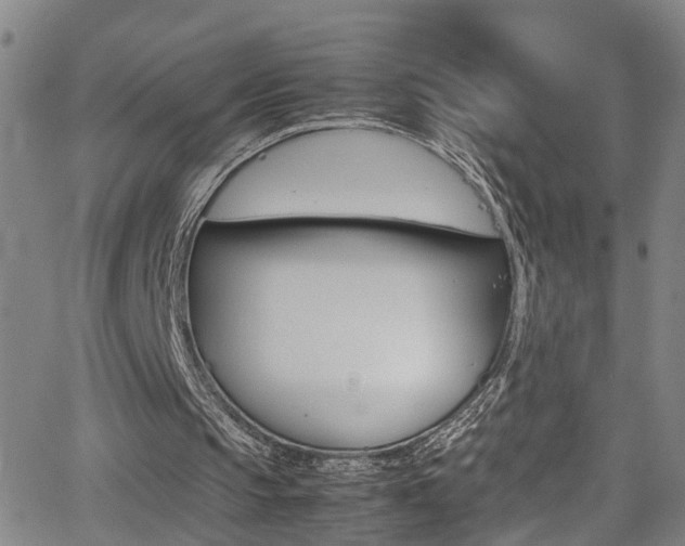 X0000065980145200603030939