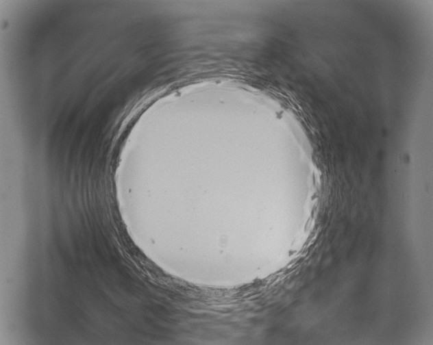 X0000065980146200603030939