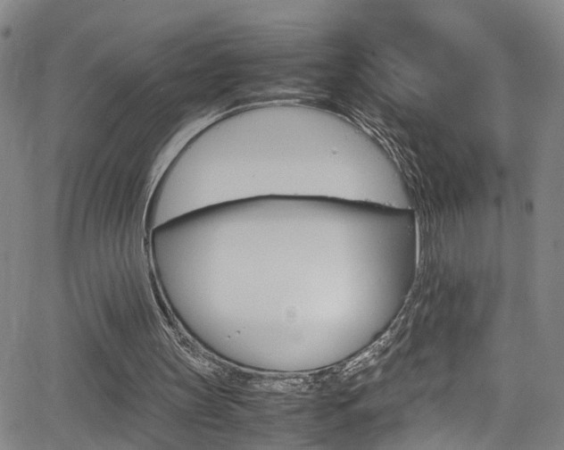 X0000065980147200603030939