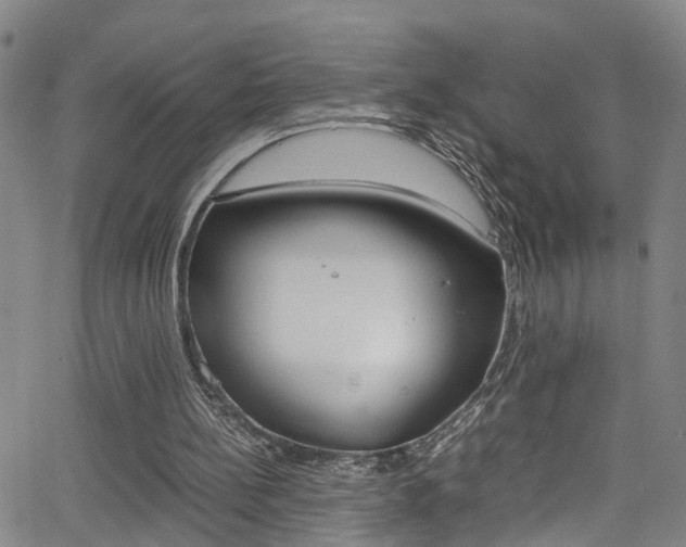 X0000065980148200603030939