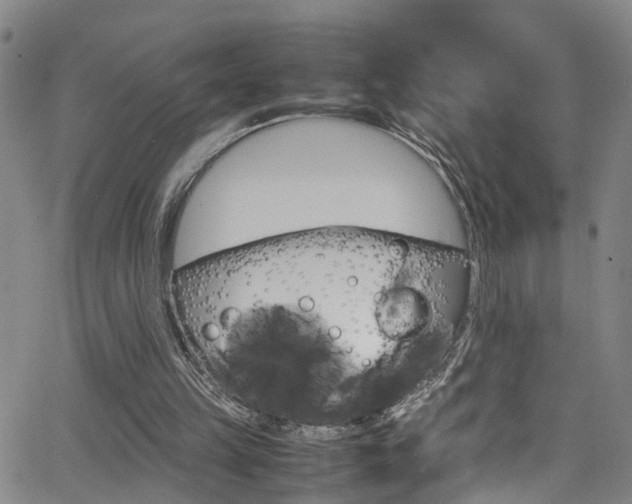 X0000065980149200603030939