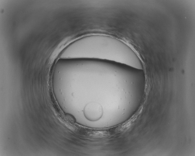 X0000065980151200603030939