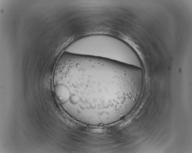 X0000065980153200603030939