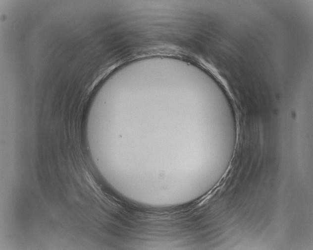 X0000065980154200603030939