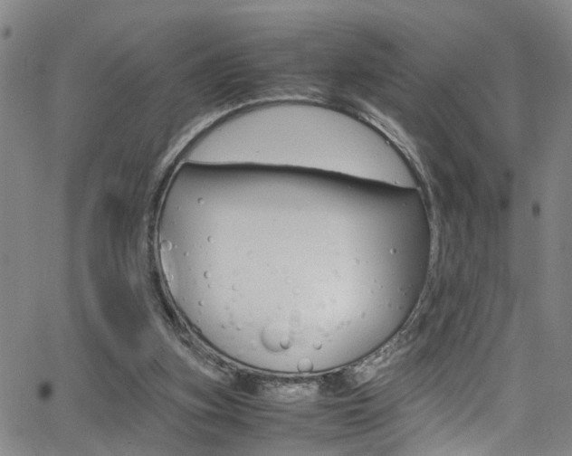 X0000065980155200603030939