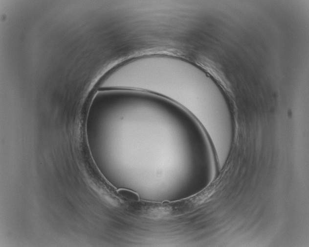 X0000065980156200603030939