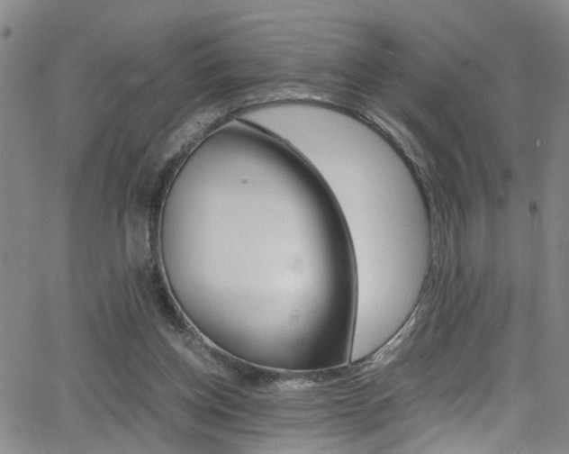 X0000065980158200603030939