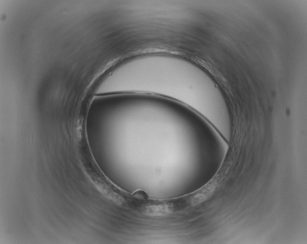 X0000065980160200603030939