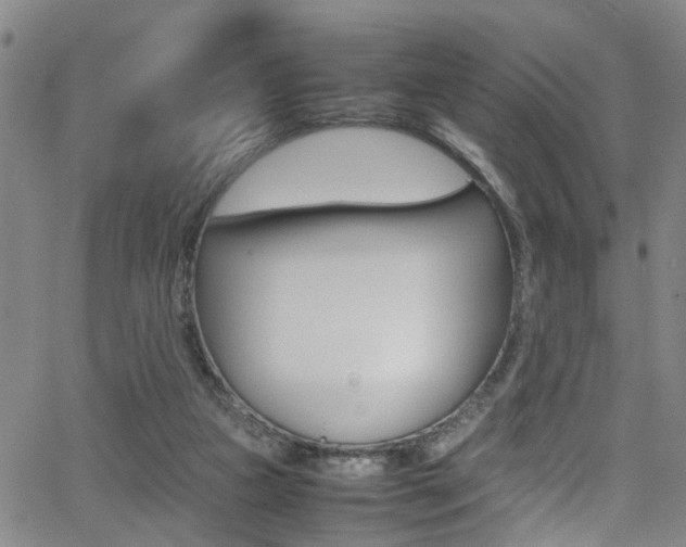 X0000065980161200603030939