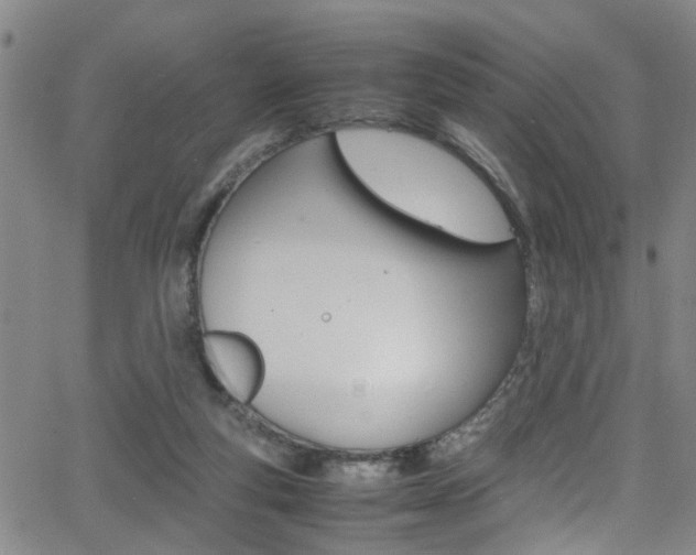 X0000065980163200603030939