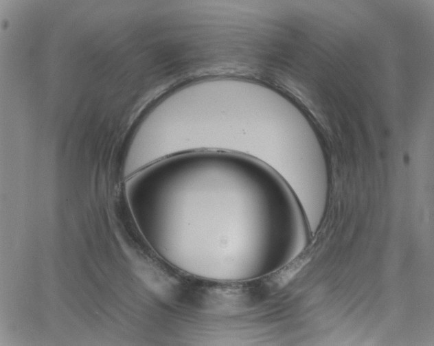 X0000065980164200603030939