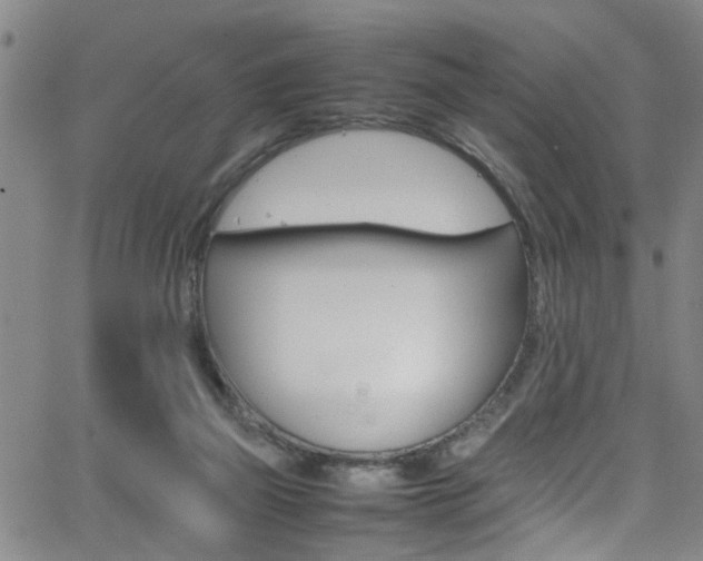 X0000065980165200603030939