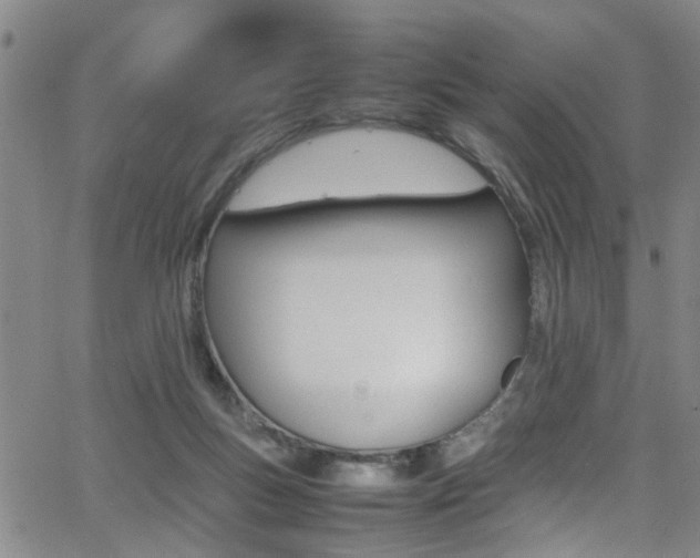 X0000065980167200603030939