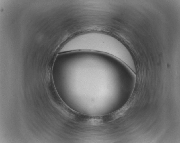 X0000065980168200603030939