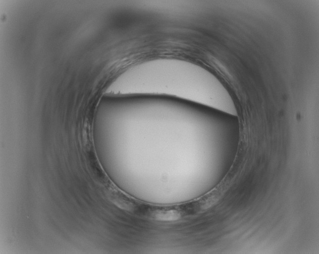 X0000065980169200603030939