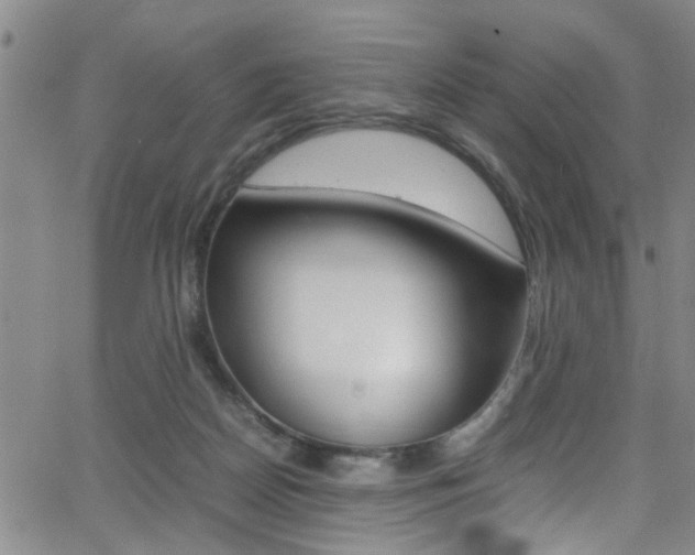 X0000065980170200603030939